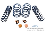 Lowering Spring Kit